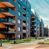 owner-occupants versus renters